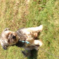 Photo de profil de Scampi 