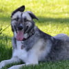 Photo de Zira