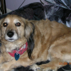 Photo de Nalla