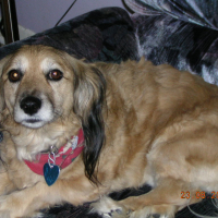 Photo de profil de Nalla