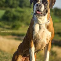 Photo de profil de indy