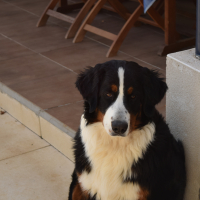 Photo de profil de JALYA