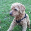 Photo de Winnie