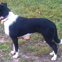 Photo de profil de IRKA