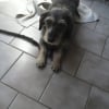 Photo de loukoum