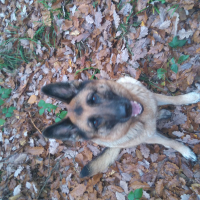 Photo de profil de Tina