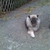 Photo de cyska