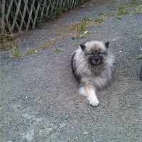 Photo de profil de cyska