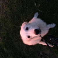 Photo de profil de Jimbo