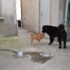 Photo de ISKO
