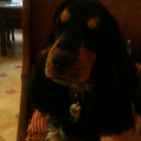 Photo de profil de Idem