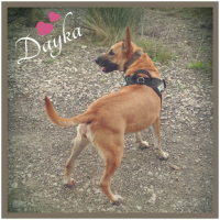 Photo de profil de Dayka