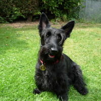 Photo de profil de Belle
