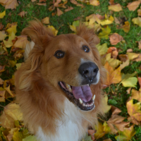 Photo de profil de Polux