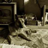Photo de profil de Gitane