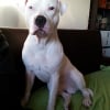 Photo de Indi