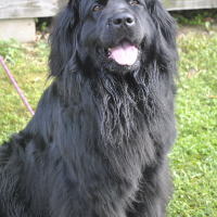 Photo de profil de hursane