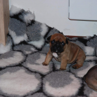 Photo de profil de Léia des minis prouts