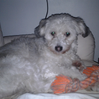 Photo de profil de Princesse