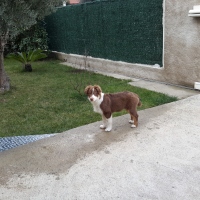 Photo de profil de Leo
