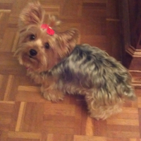 Photo de profil de FRIMOUSSE
