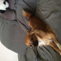 Photo de profil de Harley