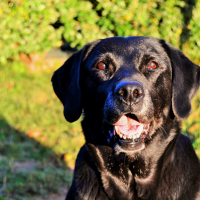 Photo de profil de Lilou