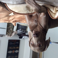 Photo de profil de Inouie