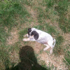 Photo de Inka