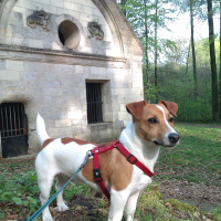 Photo de profil de Chips