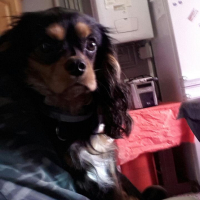 Photo de profil de CHARLY 