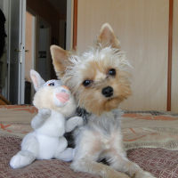 Photo de profil de MAGY