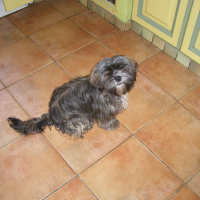 Photo de profil de BART