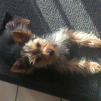 Photo de profil de LAXO