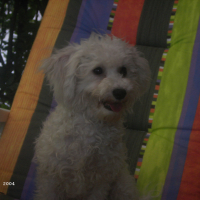 Photo de profil de andy