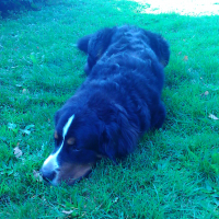 Photo de profil de horacio