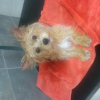 Photo de Loggy 