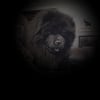Photo de Bouba