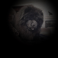 Photo de profil de Bouba