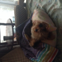 Photo de profil de Estein