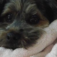 Photo de profil de Patty