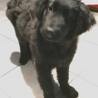 Photo de profil de Xana