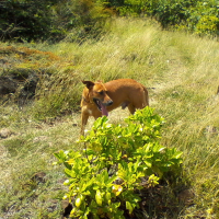 Photo de profil de Titou
