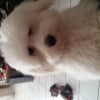 Photo de Lucky 