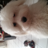Photo de profil de Lucky 