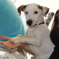 Photo de profil de Hermès