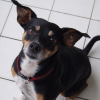 Photo de profil de Patoche