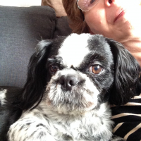 Photo de profil de filou