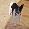 Photo de Choupy