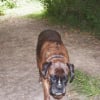 Photo de Xena